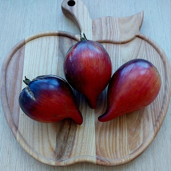 7054T Томат Огненная комета Софии 10шт 7054T Томат Огненная комета Софии 10шт