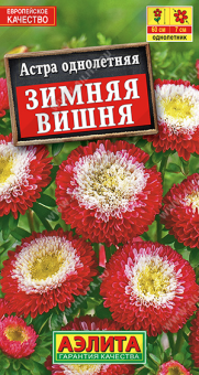 1206A Астра Зимняя вишня помпонная 0,2гр