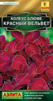 1506A Колеус блюме Красный вельвет 5шт