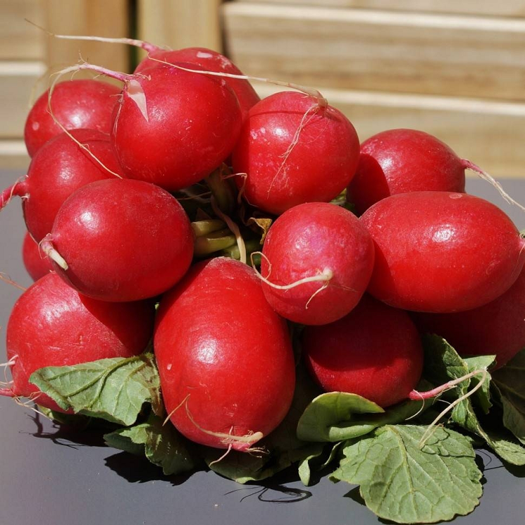 5072D Редис Кармен 1гр 5072D Редис Кармен 1гр