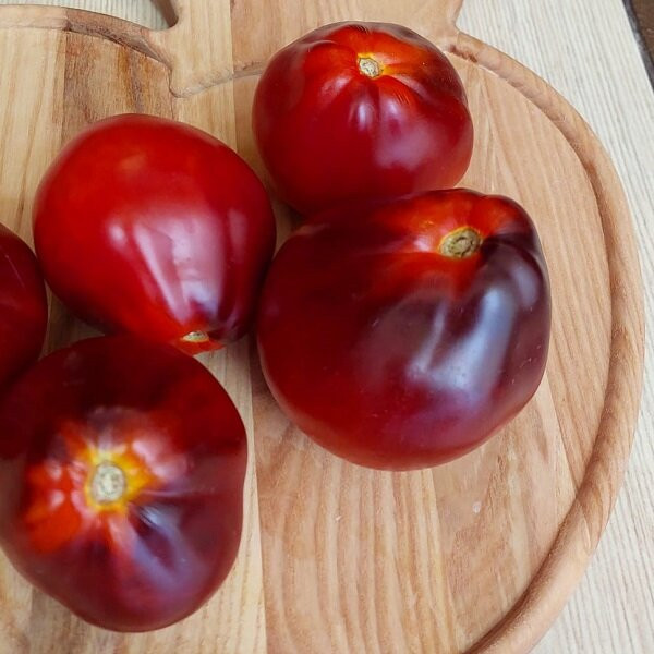 7159Т Томат Бронзовая груша с. Пеппера 10шт 7159Т Томат Бронзовая груша с. Пеппера 10шт