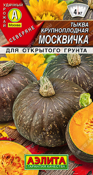 1007A Тыква крупноплодная Москвичка 1гр 1007A Тыква крупноплодная Москвичка 1гр