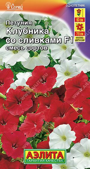 1707A Петуния Клубника со сливками F1 крупноцветковая ампельная, смесь сортов 7шт 1707A Петуния Клубника со сливками F1 крупноцветковая ампельная, смесь сортов 7шт