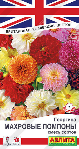 1390A Георгина Махровые помпоны, смесь сортов 0,2гр