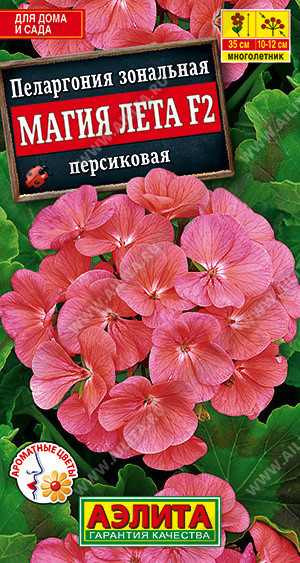 1694A Пеларгония Магия лета F2 персиковая 5 шт