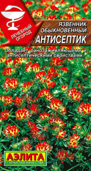 1108A Язвенник Антисептик 0,2гр