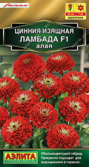 1908A Цинния Ламбада F1 алая 12шт