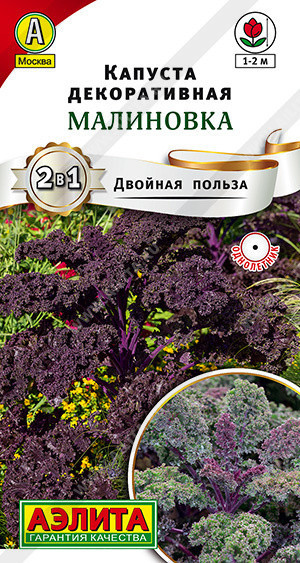 0480A Капуста декоративная Малиновка 0,3гр 0480A Капуста декоративная Малиновка 0,3гр