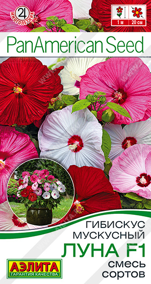 2005A Гибискус мускусный Луна F1, смесь сортов 3шт