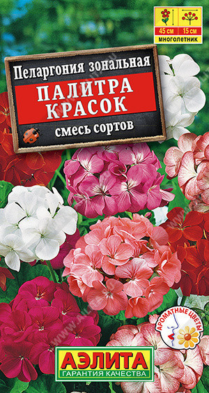1695A Пеларгония Палитра красок, смесь сортов 4 шт