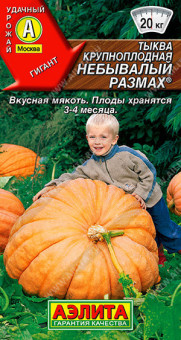 1009A Тыква крупноплодная Небывалый размах 2гр