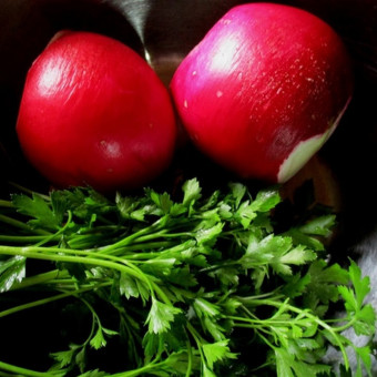 5076D Редька Китайская Барыня 1гр