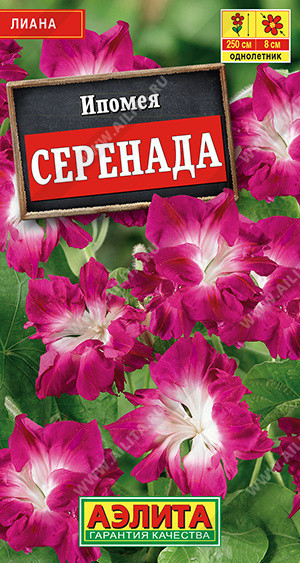 1496A Ипомея Серенада 0,2 г