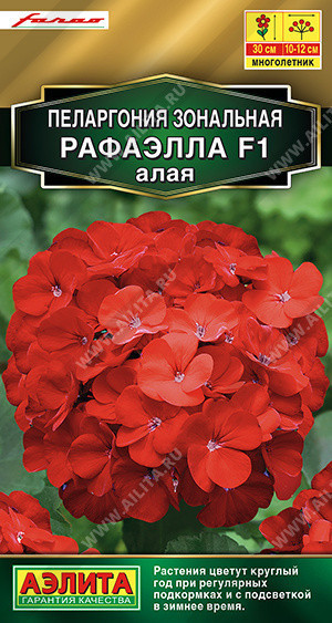 1696A Пеларгония Рафаэлла F1 алая 5 шт