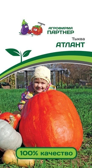 3267P Тыква АТЛАНТ 10 шт