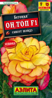 1293A Бегония Он Топ F1 сансет шэйдз 5шт