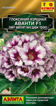 2007A Глоксиния Аванти F1 лайт виолет виз дарк троат 5шт