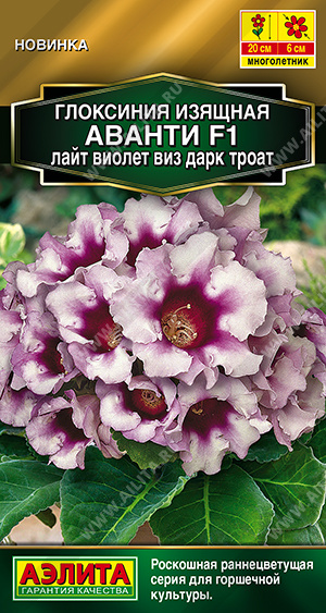 2007A Глоксиния Аванти F1 лайт виолет виз дарк троат 5шт 2007A Глоксиния Аванти F1 лайт виолет виз дарк троат 5шт