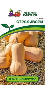 3272P Тыква СТРАДИВАРИ 10шт