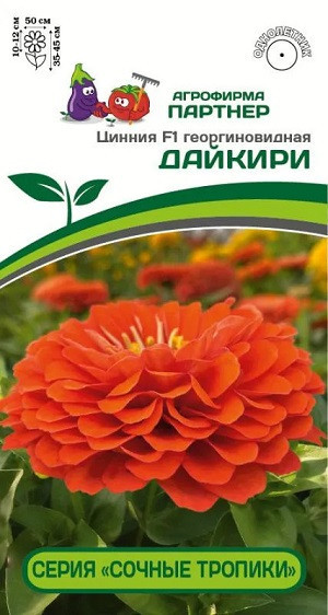 3368P Цинния F1 ДАЙКИРИ / георгиновидная 4 шт