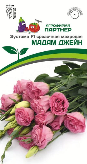 3387P Эустома F1 срезочная махровая МАДАМ ДЖЕЙН 5шт 3387P Эустома F1 срезочная махровая МАДАМ ДЖЕЙН 5шт