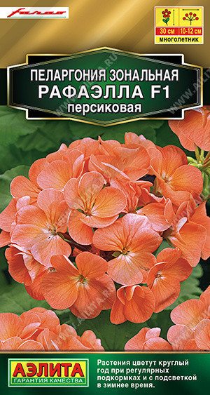 1698A Пеларгония Рафаэлла F1 персиковая 5 шт