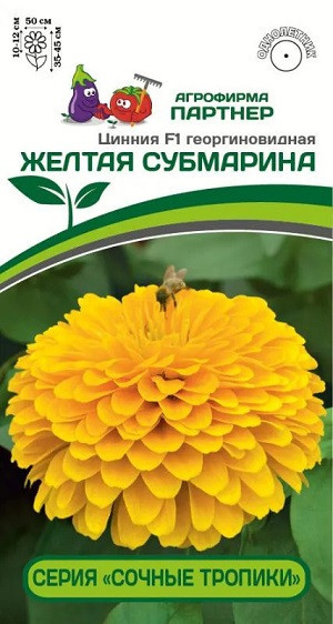 3369P Цинния F1 ЖЕЛТАЯ СУБМАРИНА / георгиновидная 4 шт