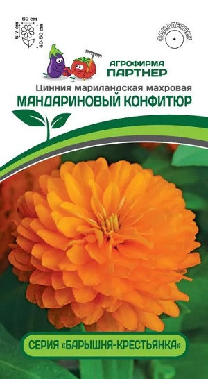 3379P Цинния МАНДАРИНОВЫЙ КОНФИТЮР / мариландская махровая 5шт 3379P Цинния МАНДАРИНОВЫЙ КОНФИТЮР / мариландская махровая 5шт