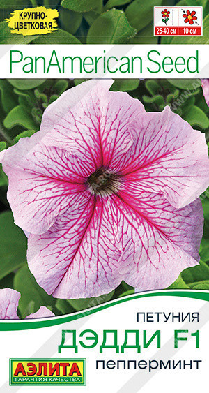 1700A Петуния Дэдди F1 пепперминт 7шт