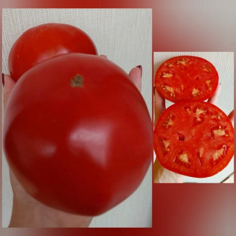 7165Т Томат Грицык 10шт