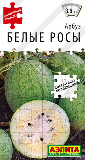 0299A Арбуз Белые росы 5 шт