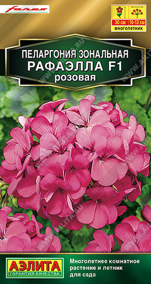 1699A Пеларгония Рафаэлла F1 розовая 5 шт