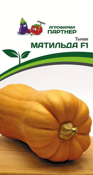 3270P Тыква МАТИЛЬДА F1 5 шт
