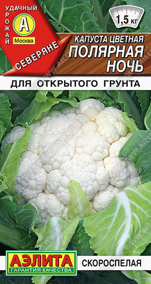 0513A Капуста цветная Полярная ночь 0,3гр