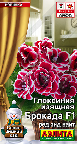 2010A Глоксиния Брокада F1 ред энд вайт 5шт 2010A Глоксиния Брокада F1 ред энд вайт 5шт