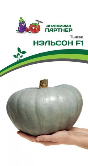 3271P Тыква НЭЛЬСОН F1 5 шт