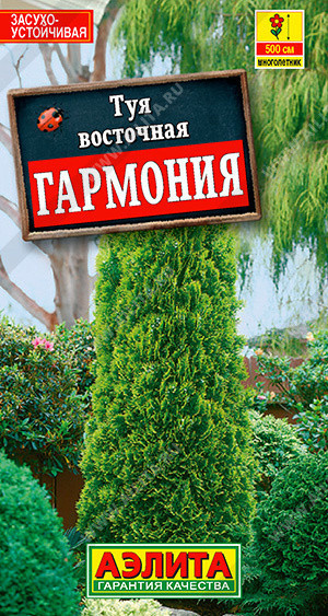 1814A Туя восточная Гармония 8шт 1814A Туя восточная Гармония 8шт