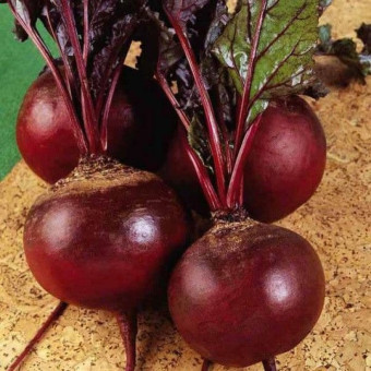 5083D Свекла столовая Эфиопка 1гр