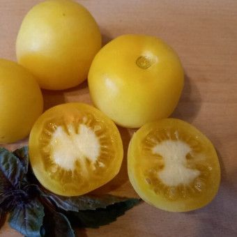 7063Т Томат Призрак 10шт