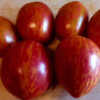 7167Т Томат Дон жуан 10шт