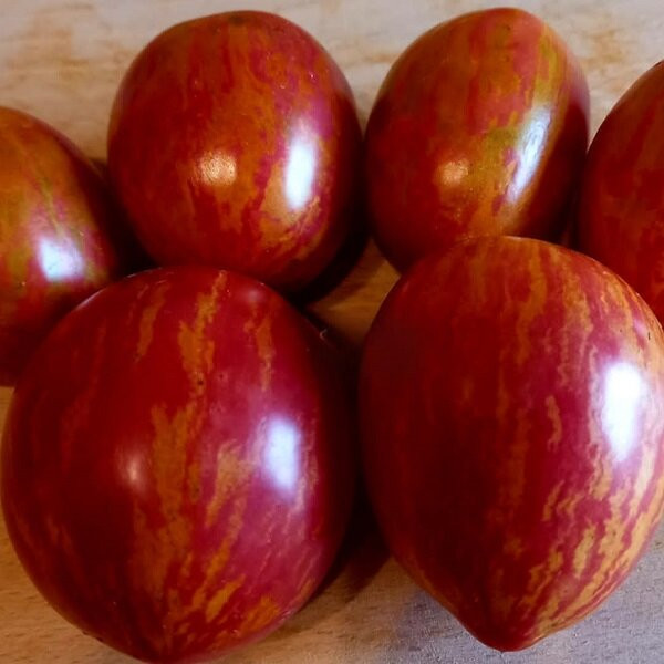 7167Т Томат Дон жуан 10шт 7167Т Томат Дон жуан 10шт