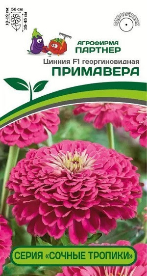 3372P Цинния F1 ПРИМАВЕРА / георгиновидная 4 шт