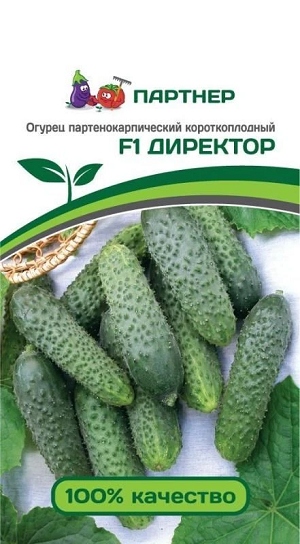 3082P Огурец ДИРЕКТОР F1 5шт 3082P Огурец ДИРЕКТОР F1 5шт