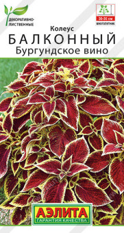 1500A Колеус балконный Бургундское вино 5шт
