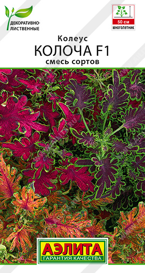 2012A Колеус Колоча F1, смесь сортов 5шт