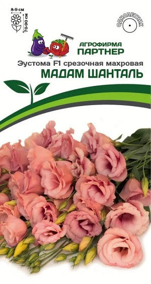 3391P Эустома F1 срезочная махровая МАДАМ ШАНТАЛЬ 5шт 3391P Эустома F1 срезочная махровая МАДАМ ШАНТАЛЬ 5шт