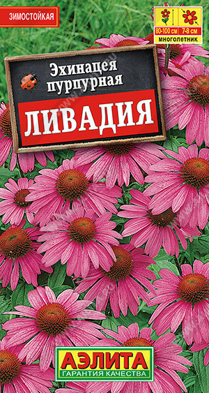2002A Эхинацея пурпурная Ливадия 0,3 г