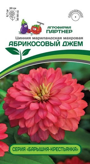 3373P Цинния АБРИКОСОВЫЙ ДЖЕМ / мариландская махровая 5 шт