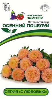 3283P Астра китайская ОСЕННИЙ ПОЦЕЛУЙ 5шт