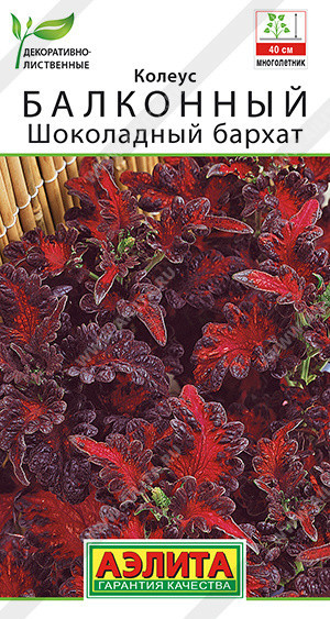 1501A Колеус балконный Шоколадный бархат 5шт